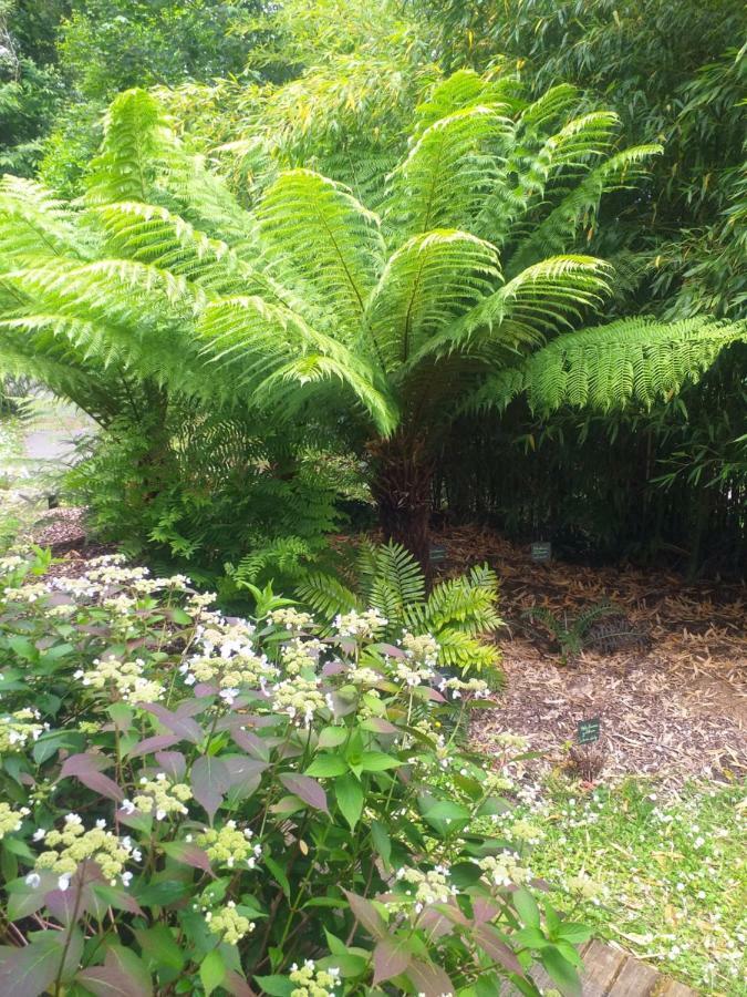 Un Jardin En Pente Douce Villa Locquenole Eksteriør billede