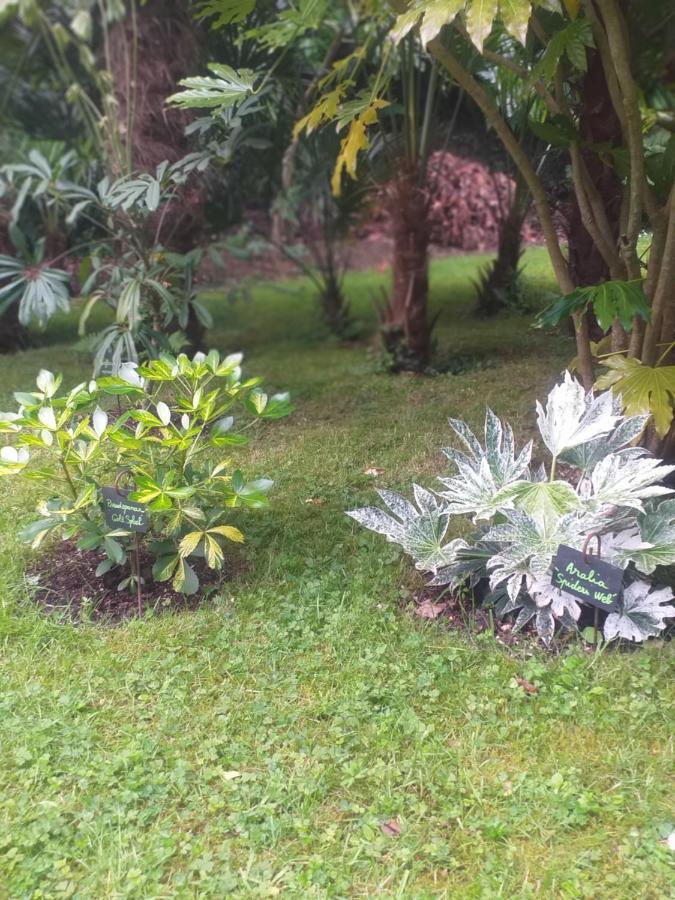 Un Jardin En Pente Douce Villa Locquenole Eksteriør billede